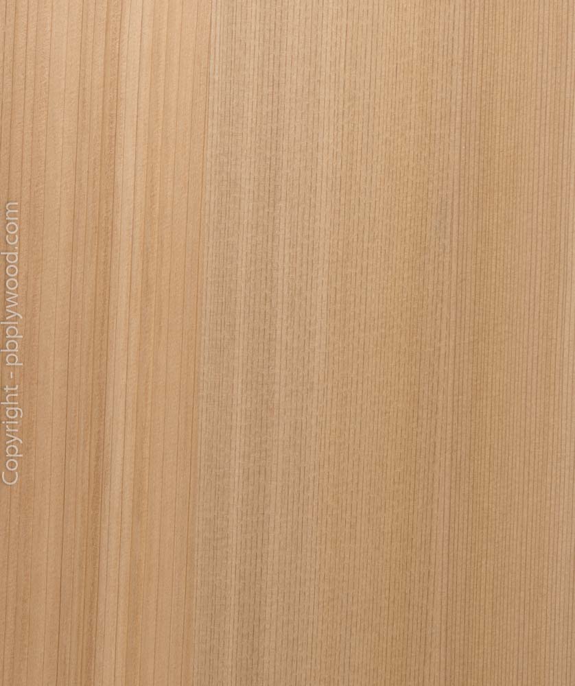 Western Red Cedar Veneered Birch Plywood - Peter Benson Plywood Ltd
